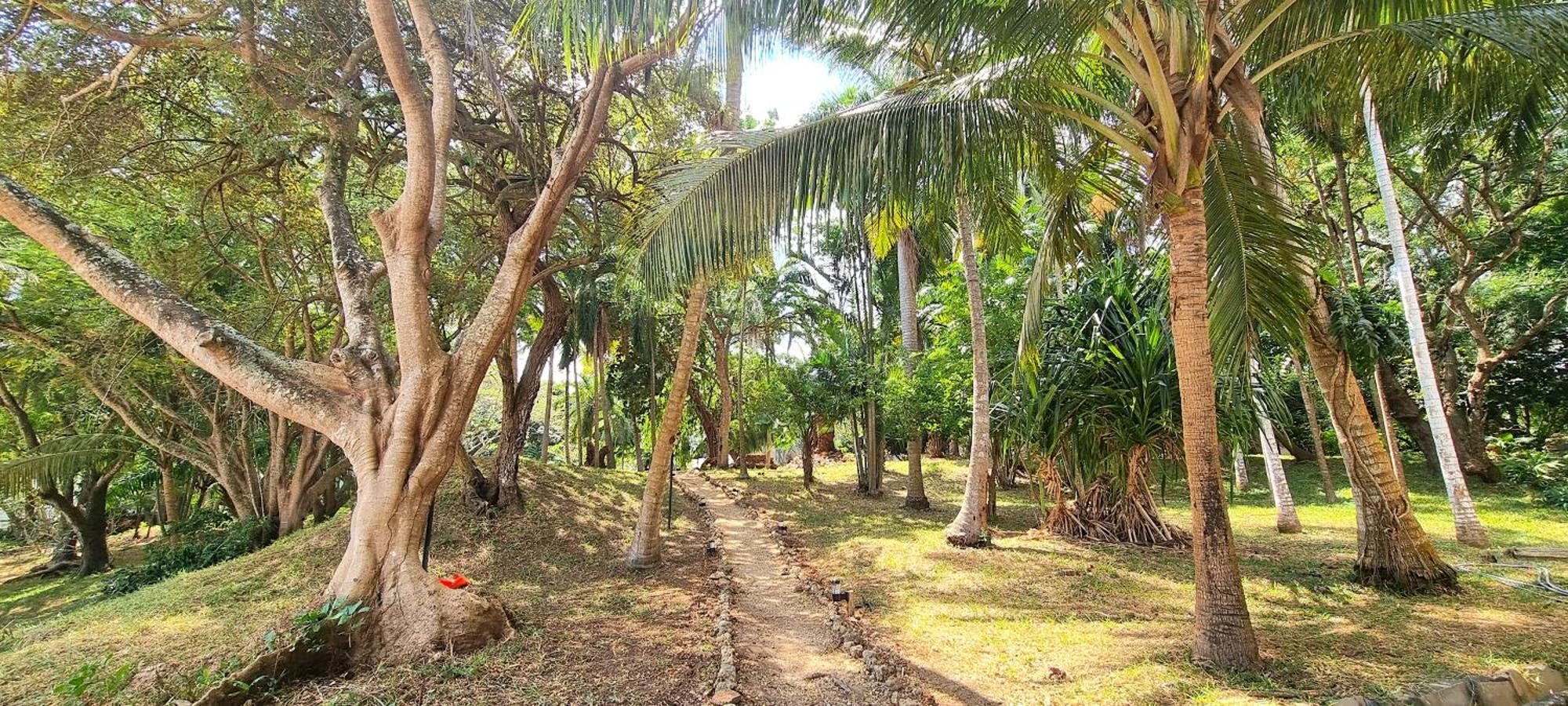 Mbweni Ruins & Gardens Previously Jungle Paradise Hotel 4*