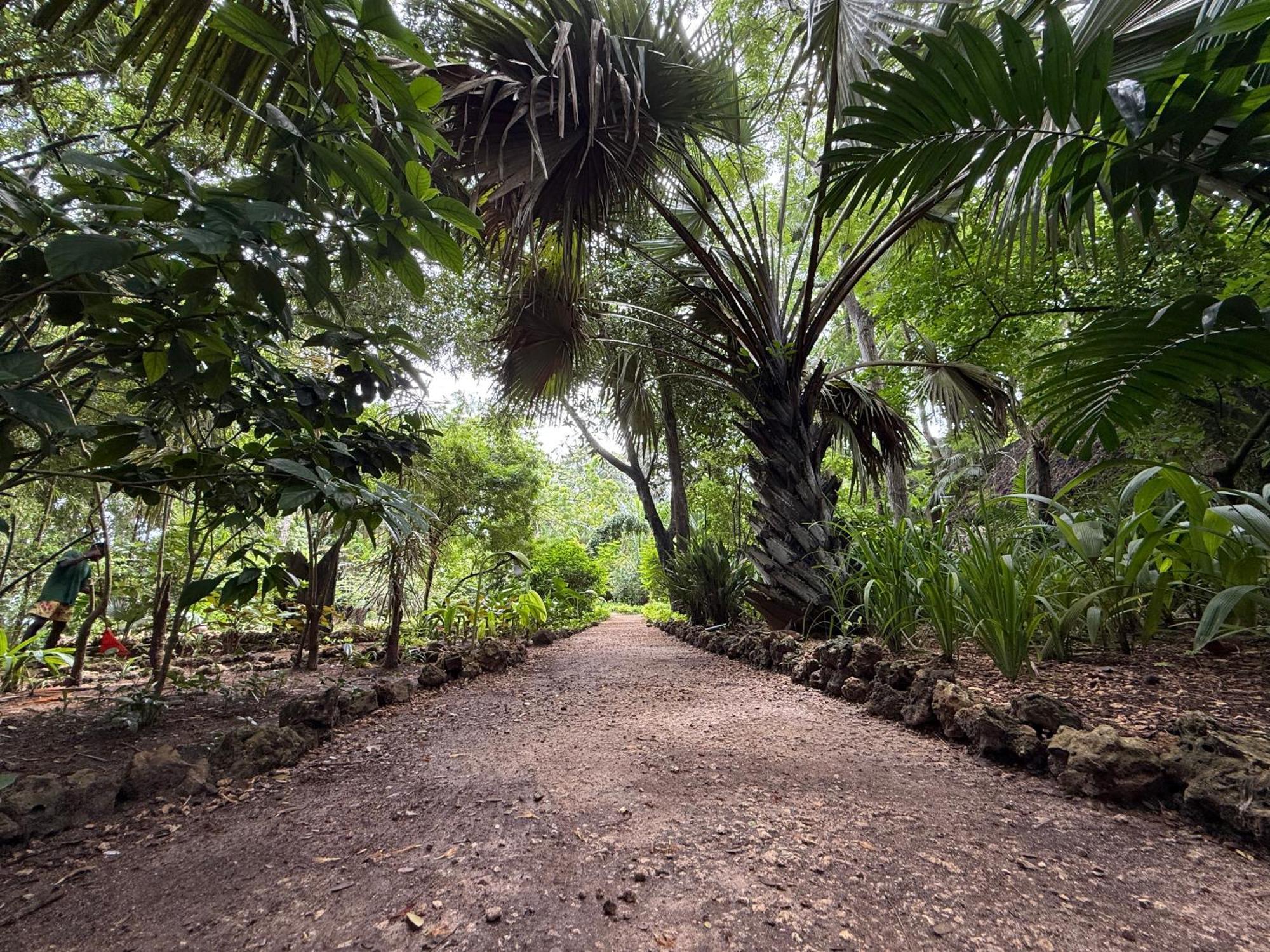 Mbweni Ruins & Gardens Previously Jungle Paradise 4*