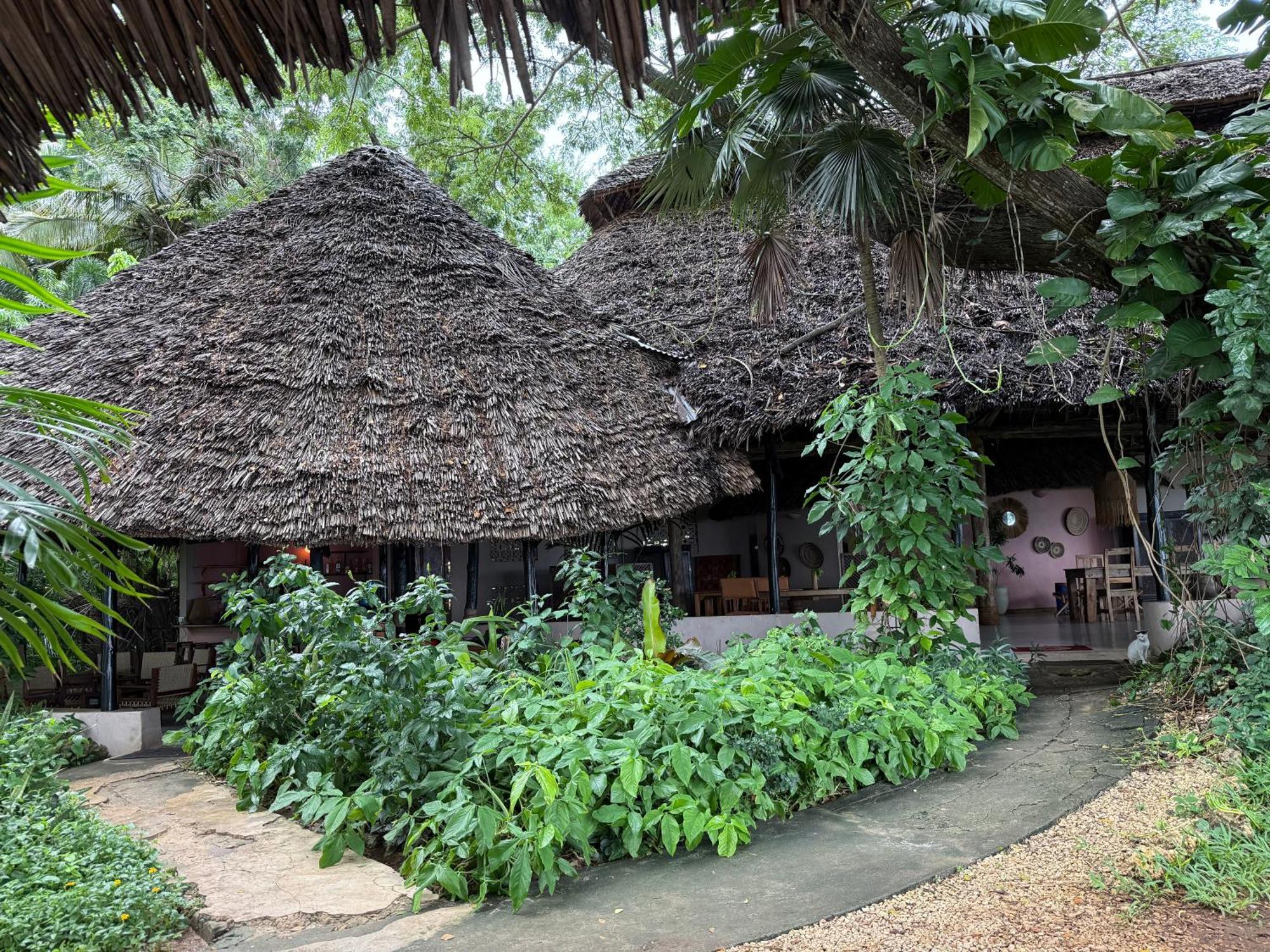 Mbweni Ruins & Gardens Previously Jungle Paradise Zanzibar