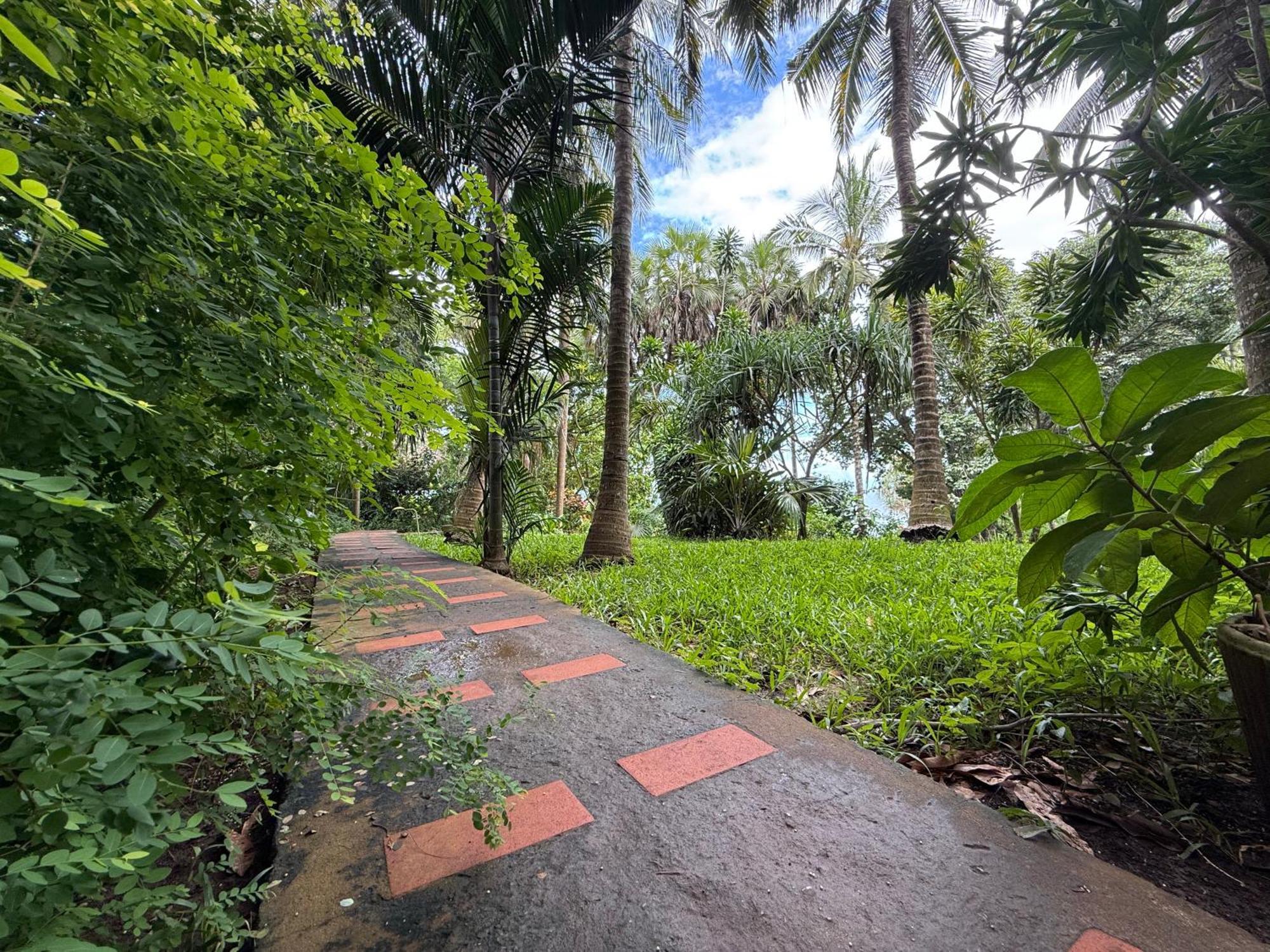 Mbweni Ruins & Gardens Previously Jungle Paradise Zanzibar
