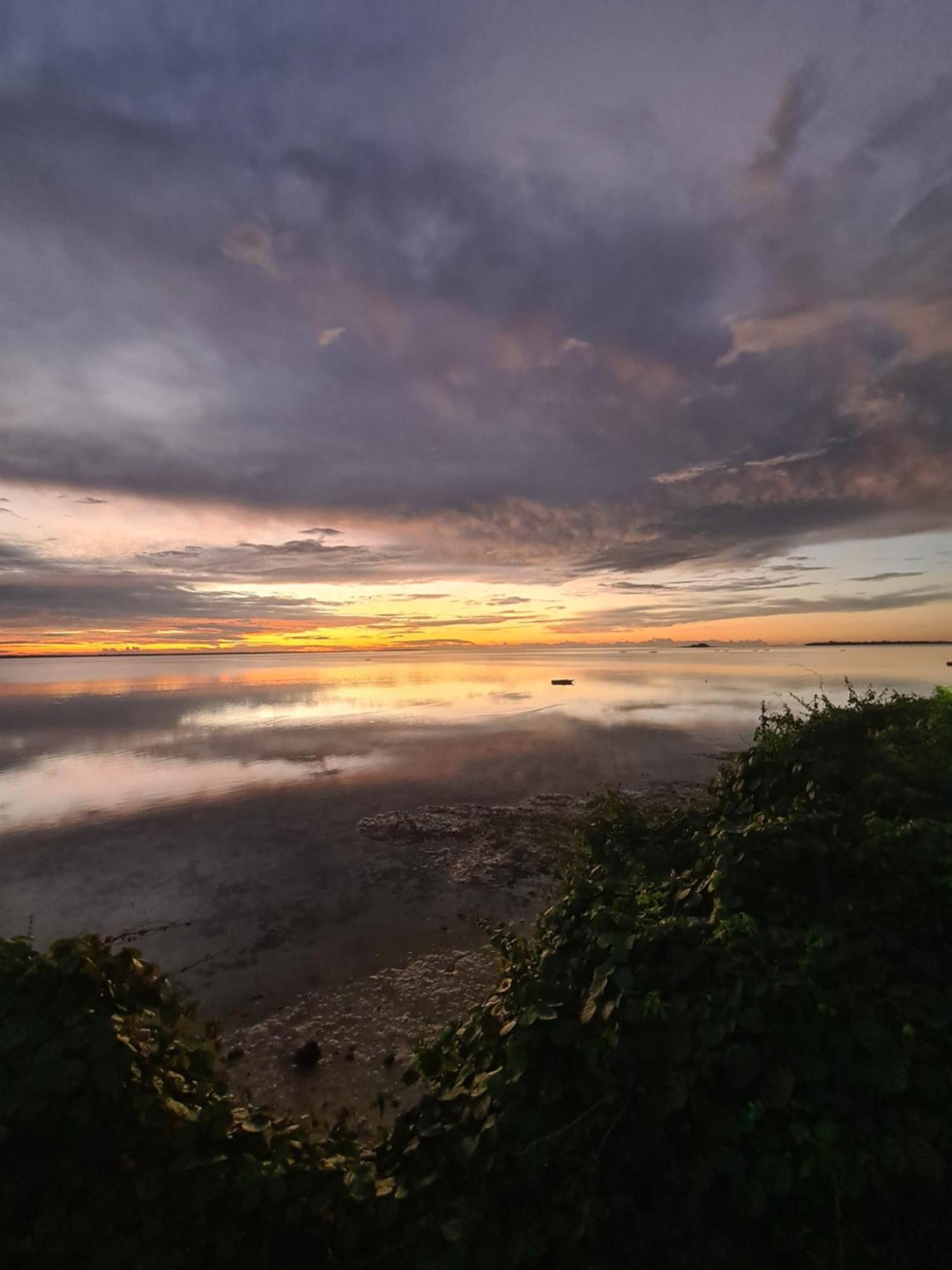 Paradise Kidoti