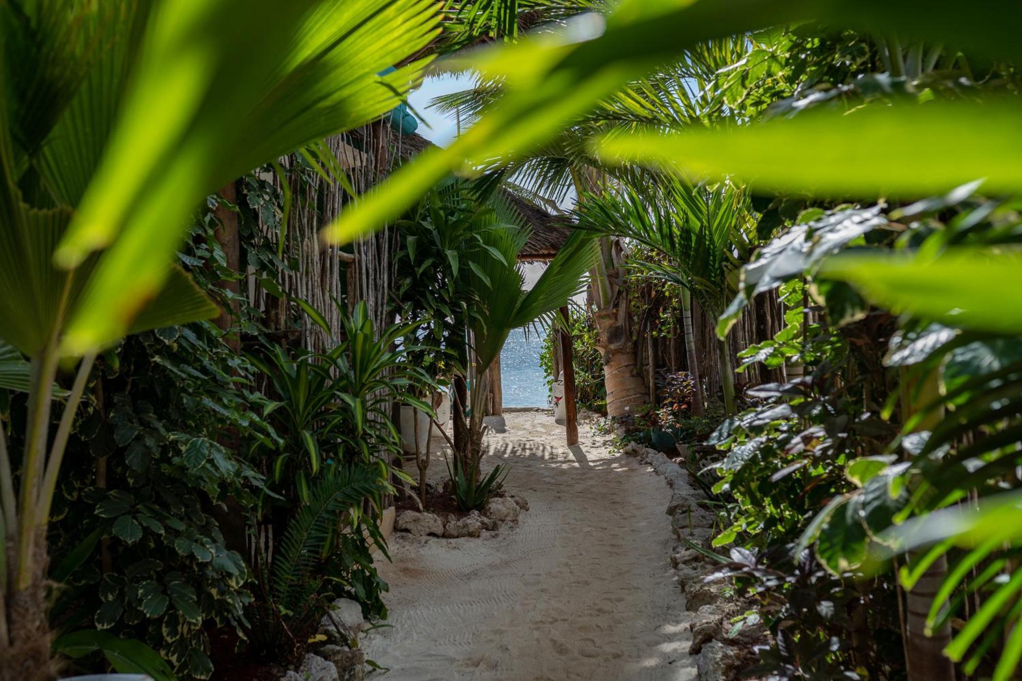 Hotel Pili Pili Paradise Beach