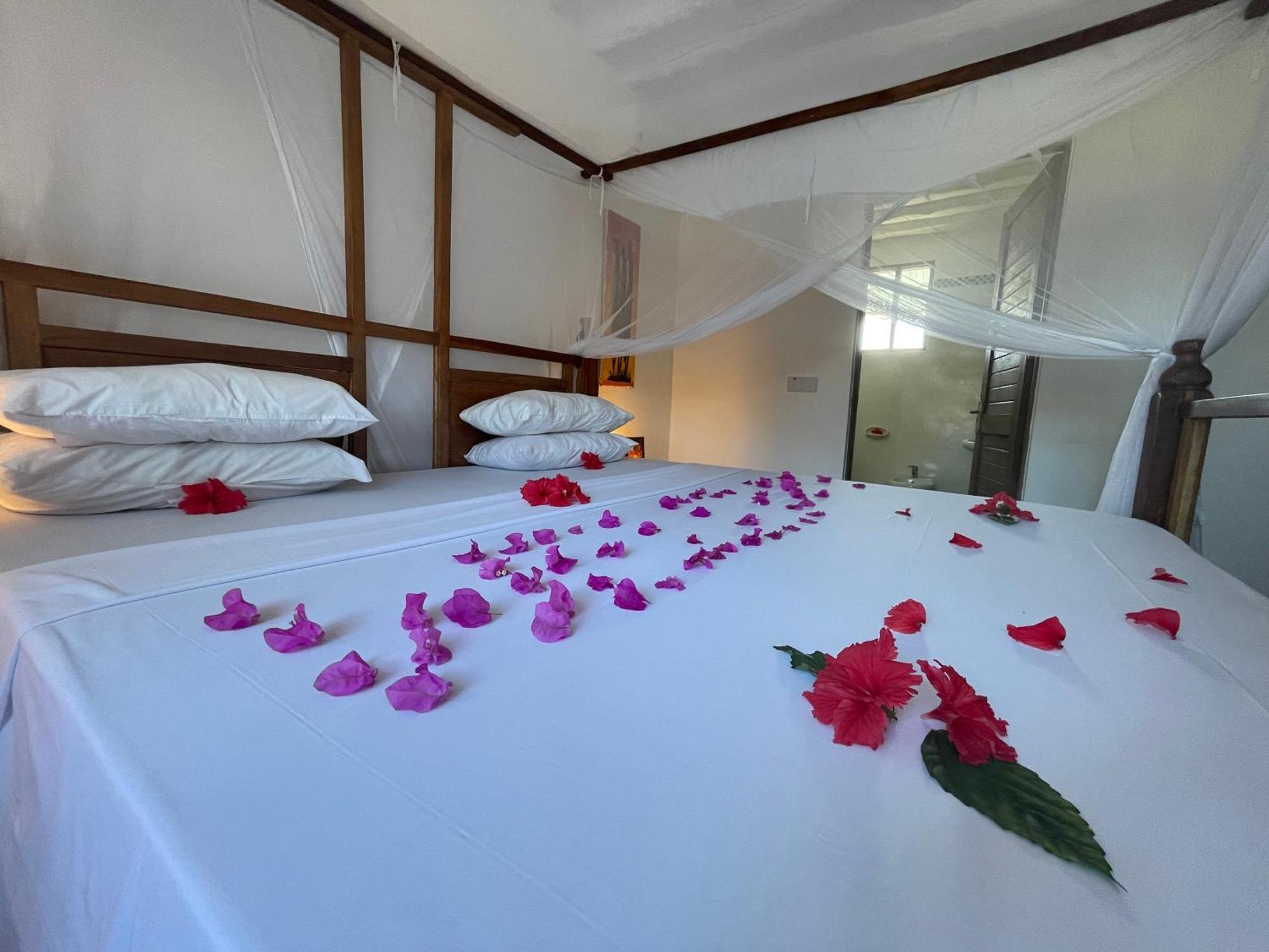 Breeze Appartement *