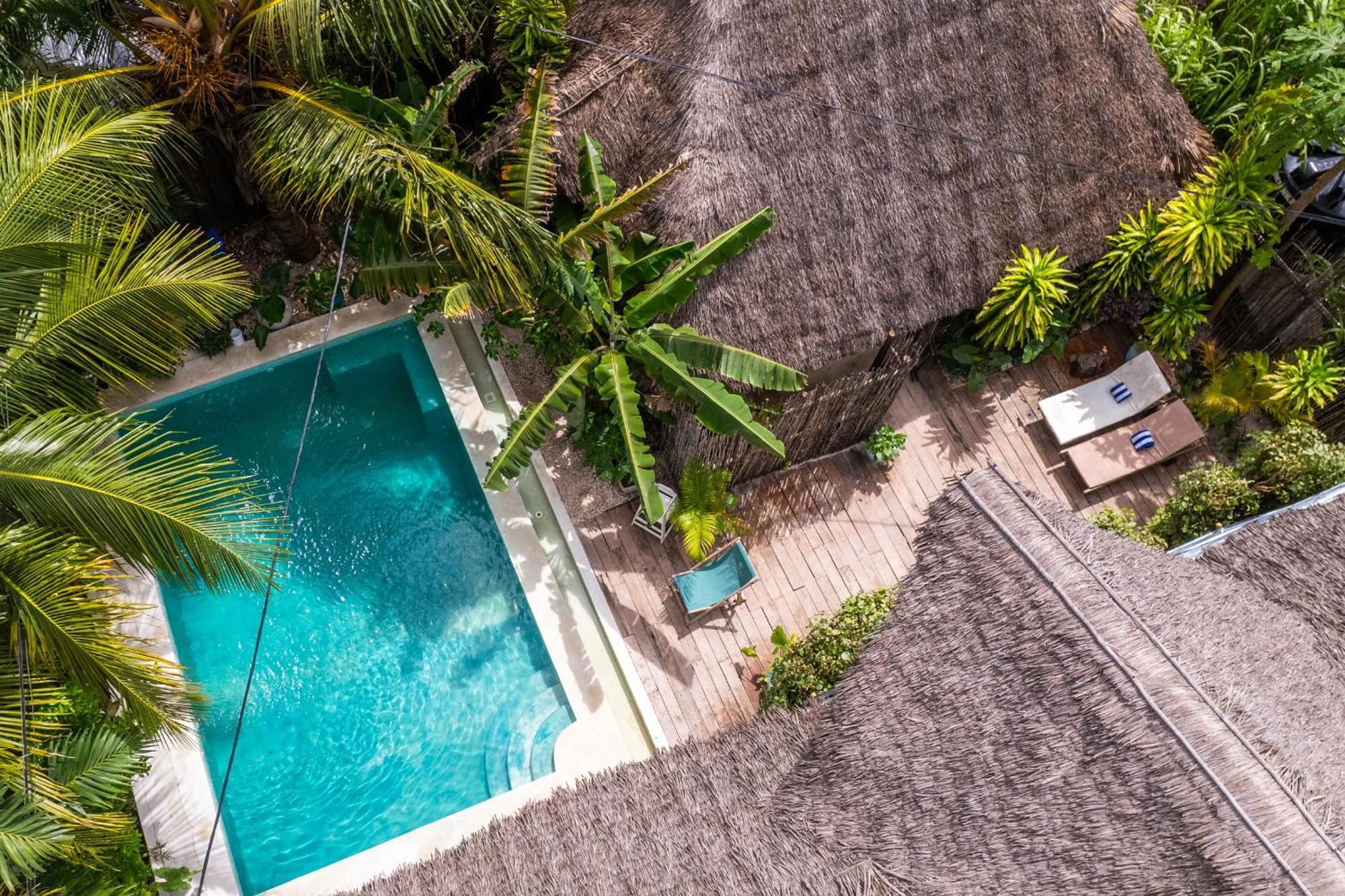 Pili Pili Oasis Hotel 4*