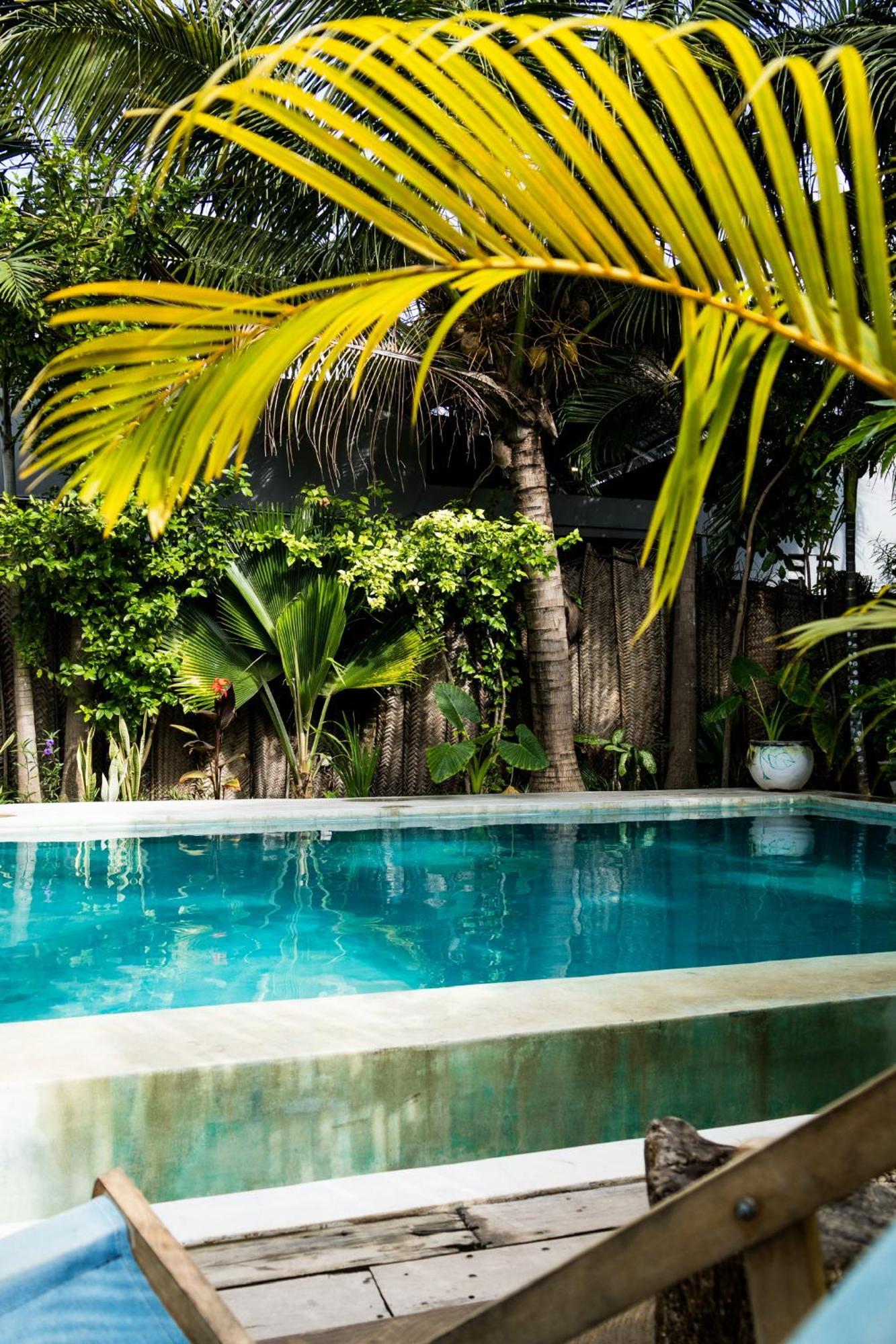 Pili Pili Oasis 4*