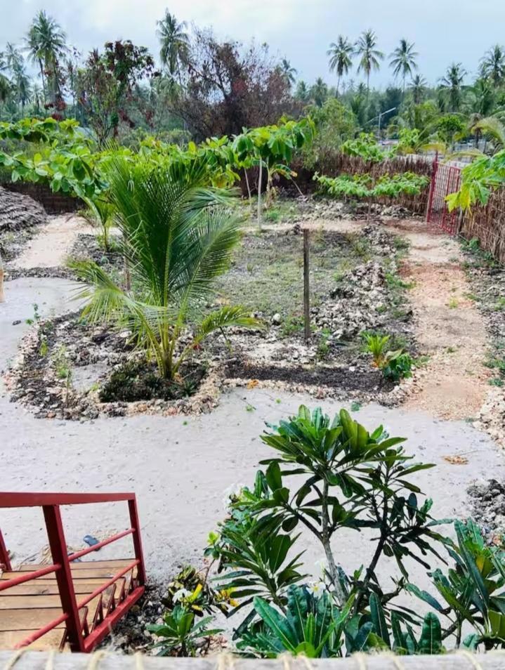 Mangrove 4*
