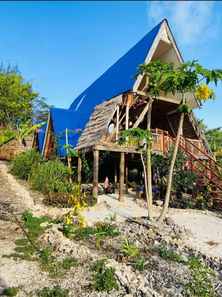 Hotel Mangrove Michamvi Kae