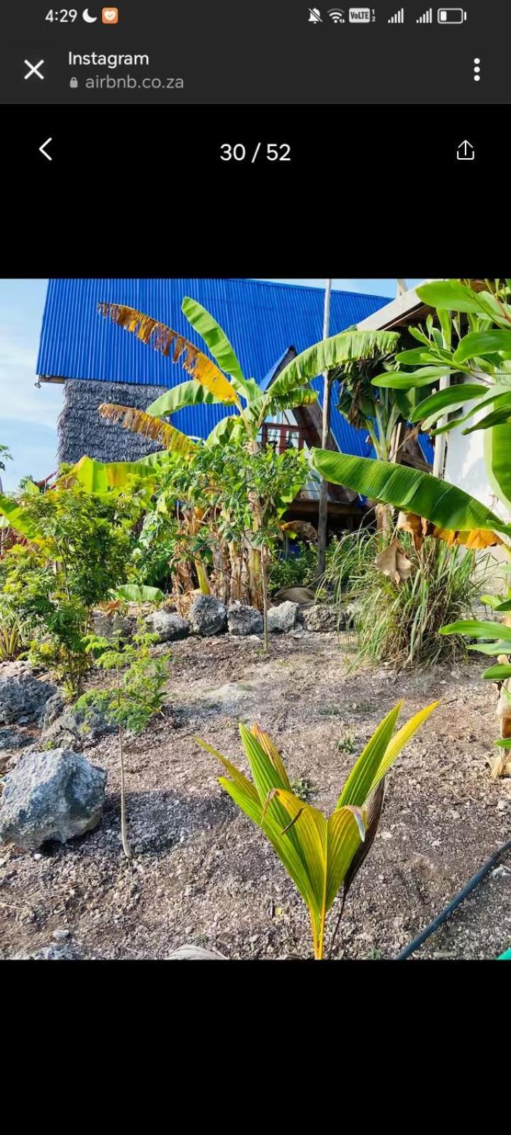 Mangrove 4* Michamvi Kae
