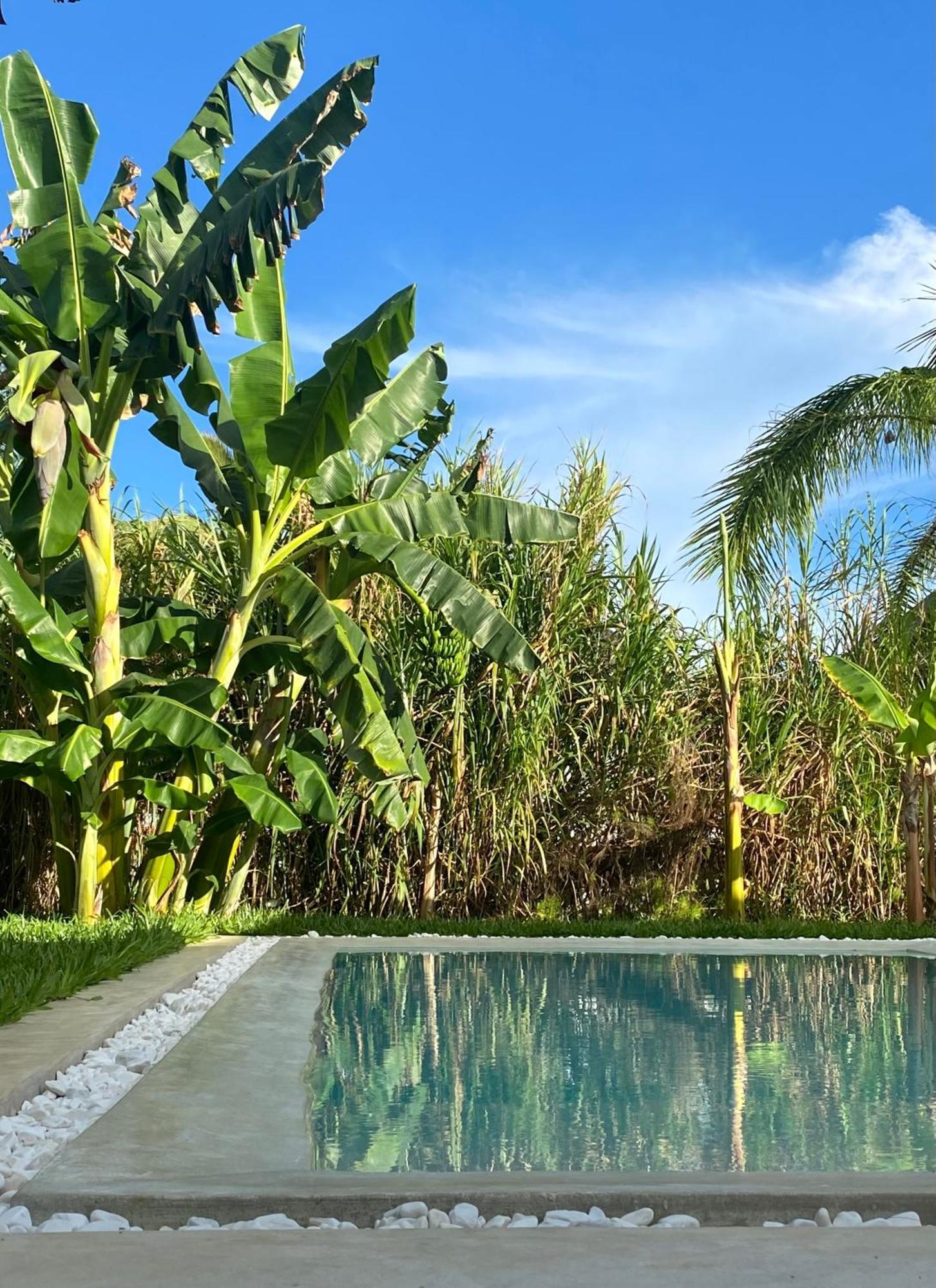 Villa Luxury Lions Zanzibar - With Private Cook&infinity Pools *