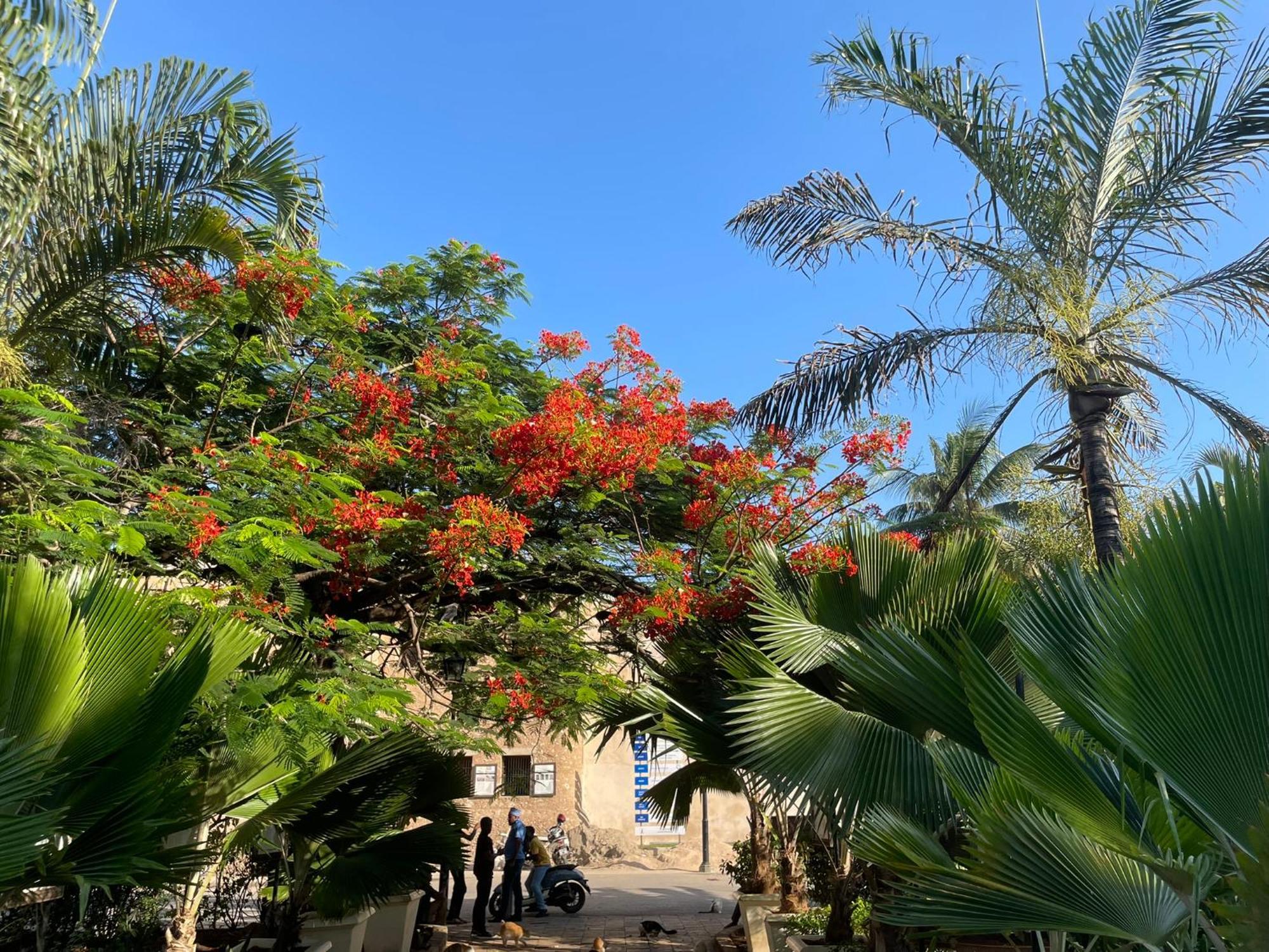 Jacob's Bed & Breakfast Zanzibar
