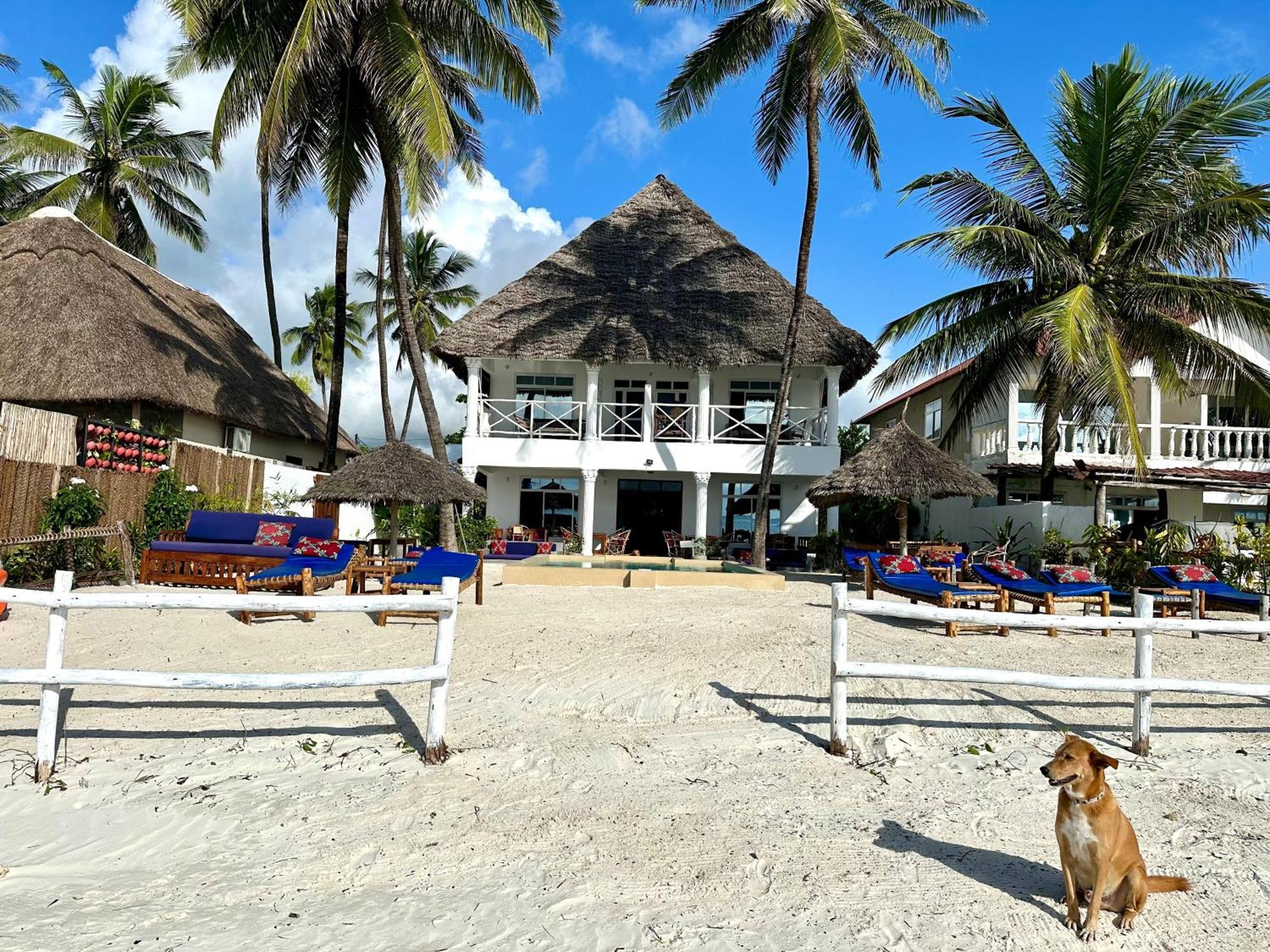 The African Paradise 3*