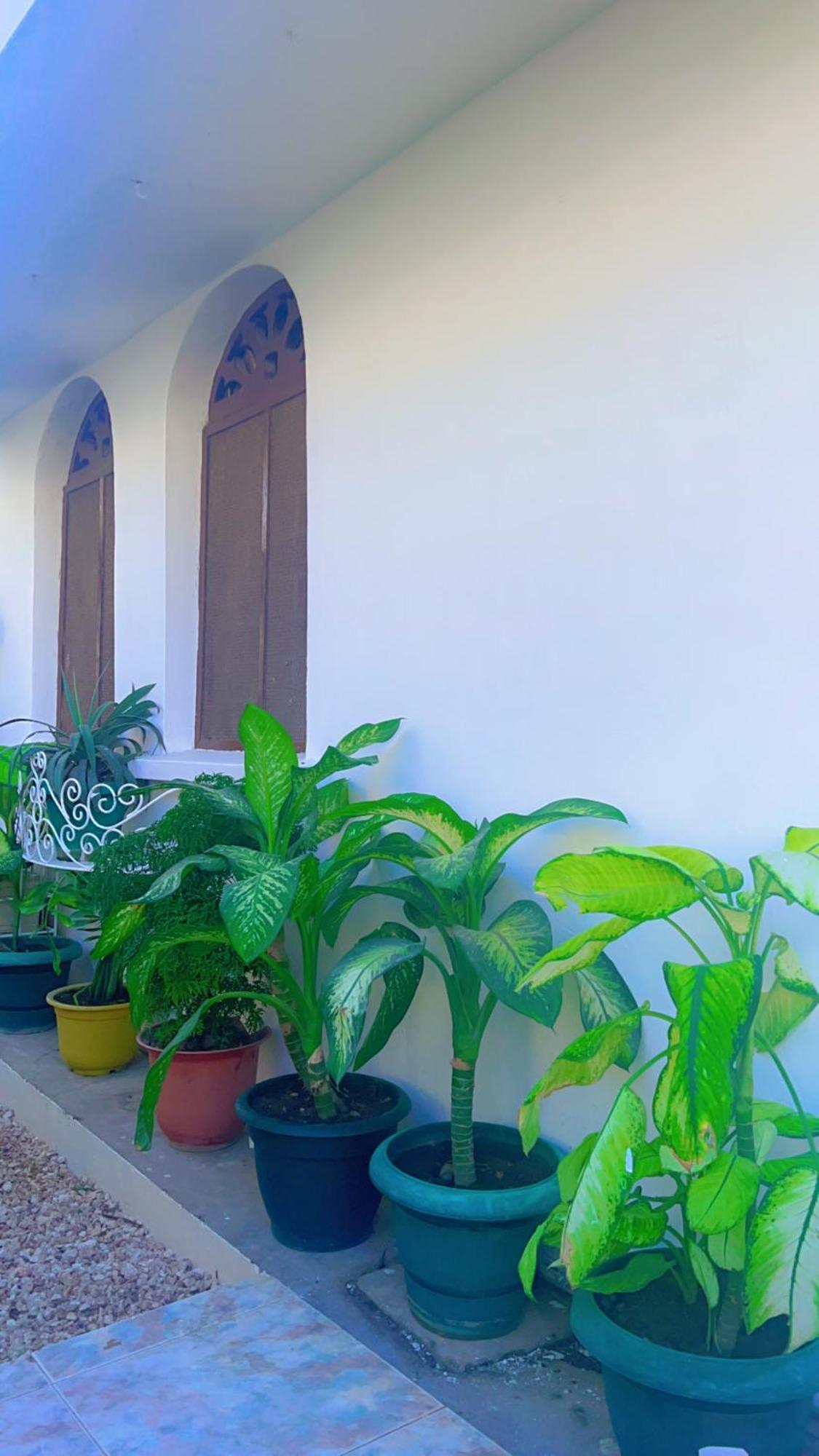 Malkiya House