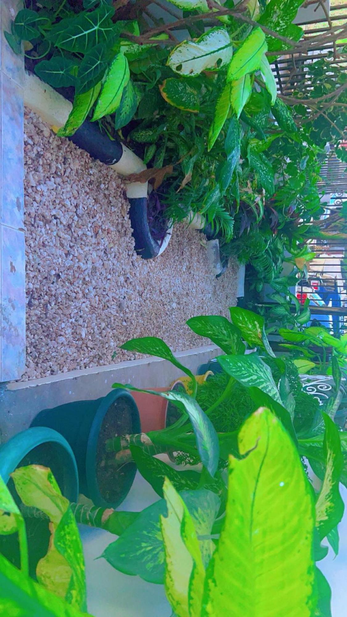 Malkiya House Guest house