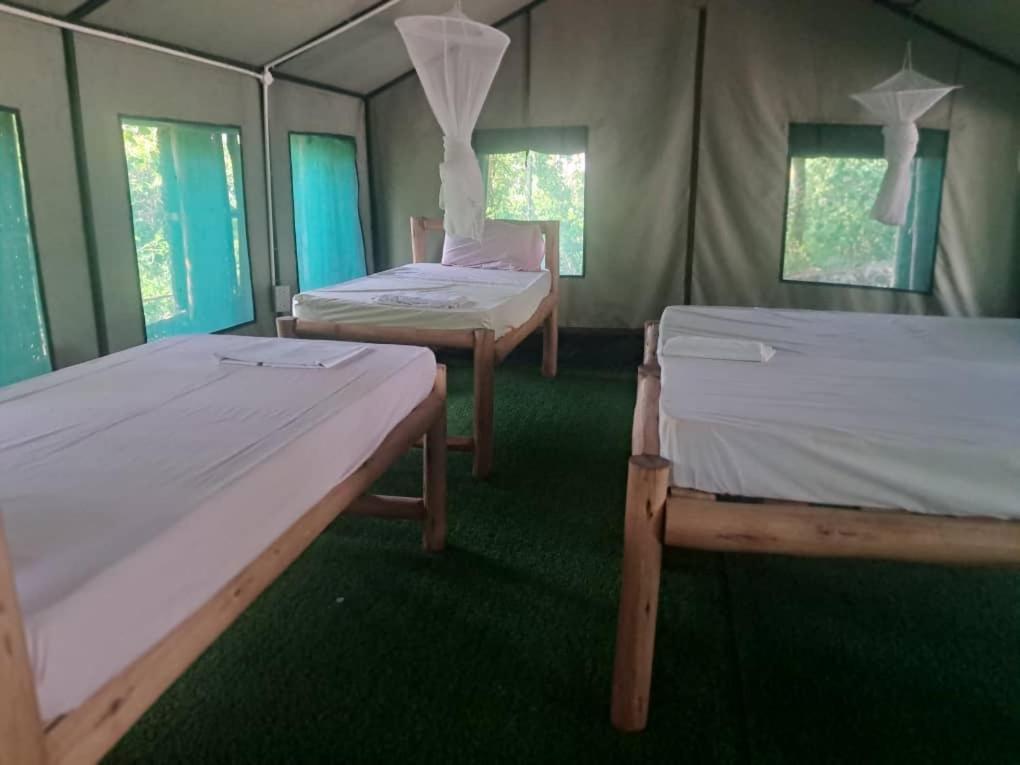 Jozanibiospherevillage Lodge
