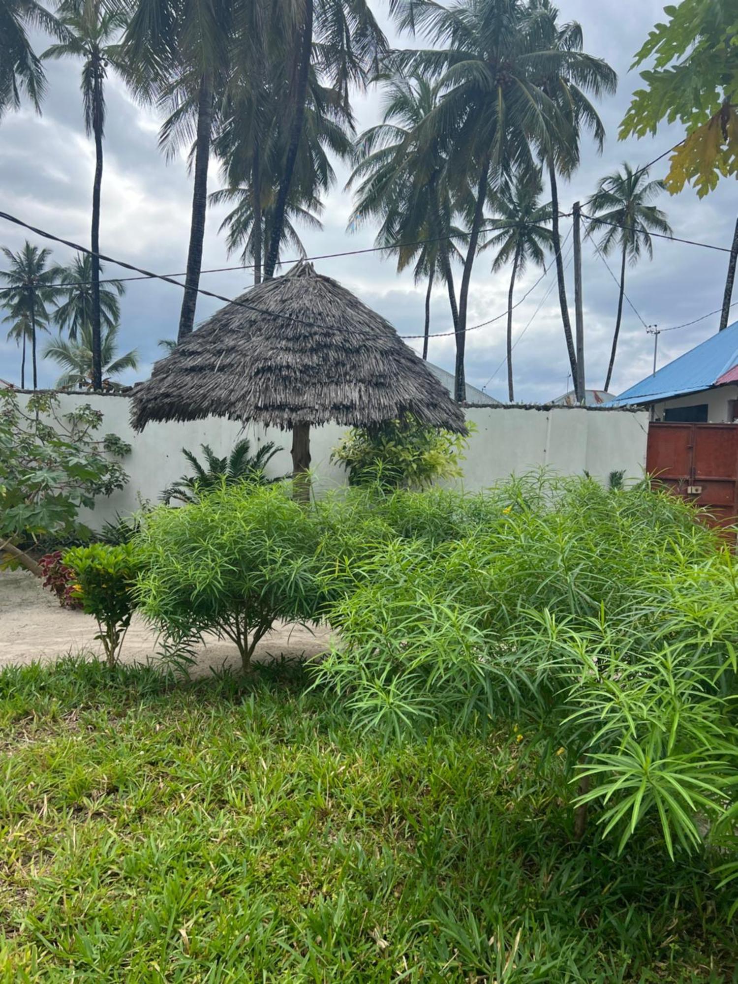 Hostel Mambo Leo Paje