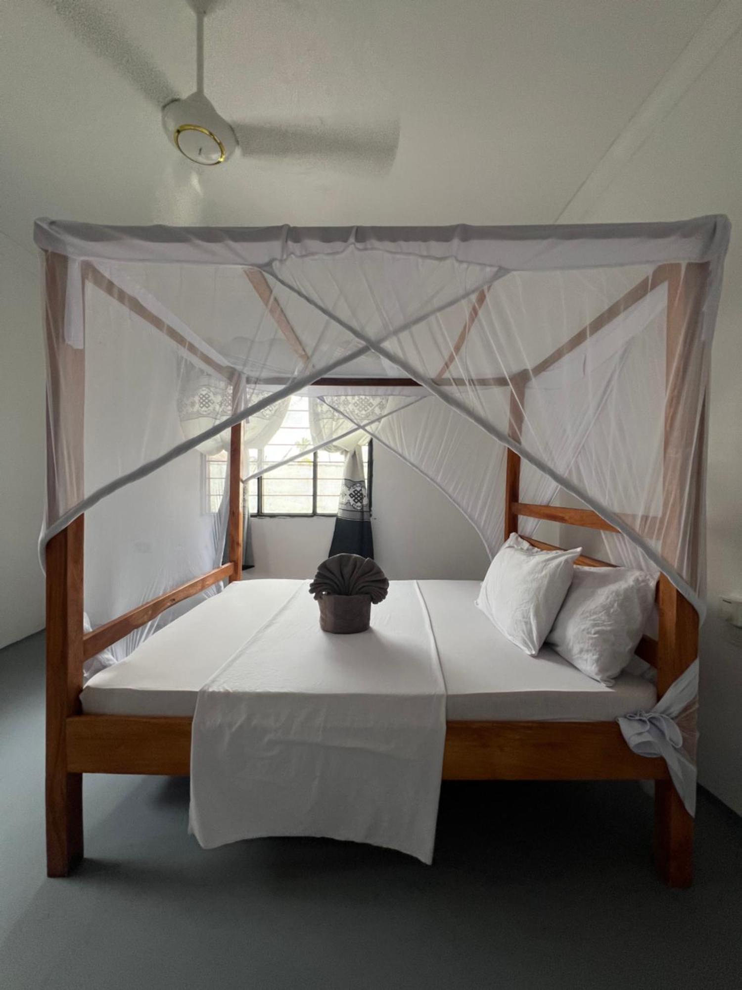 Hostel Mambo Leo