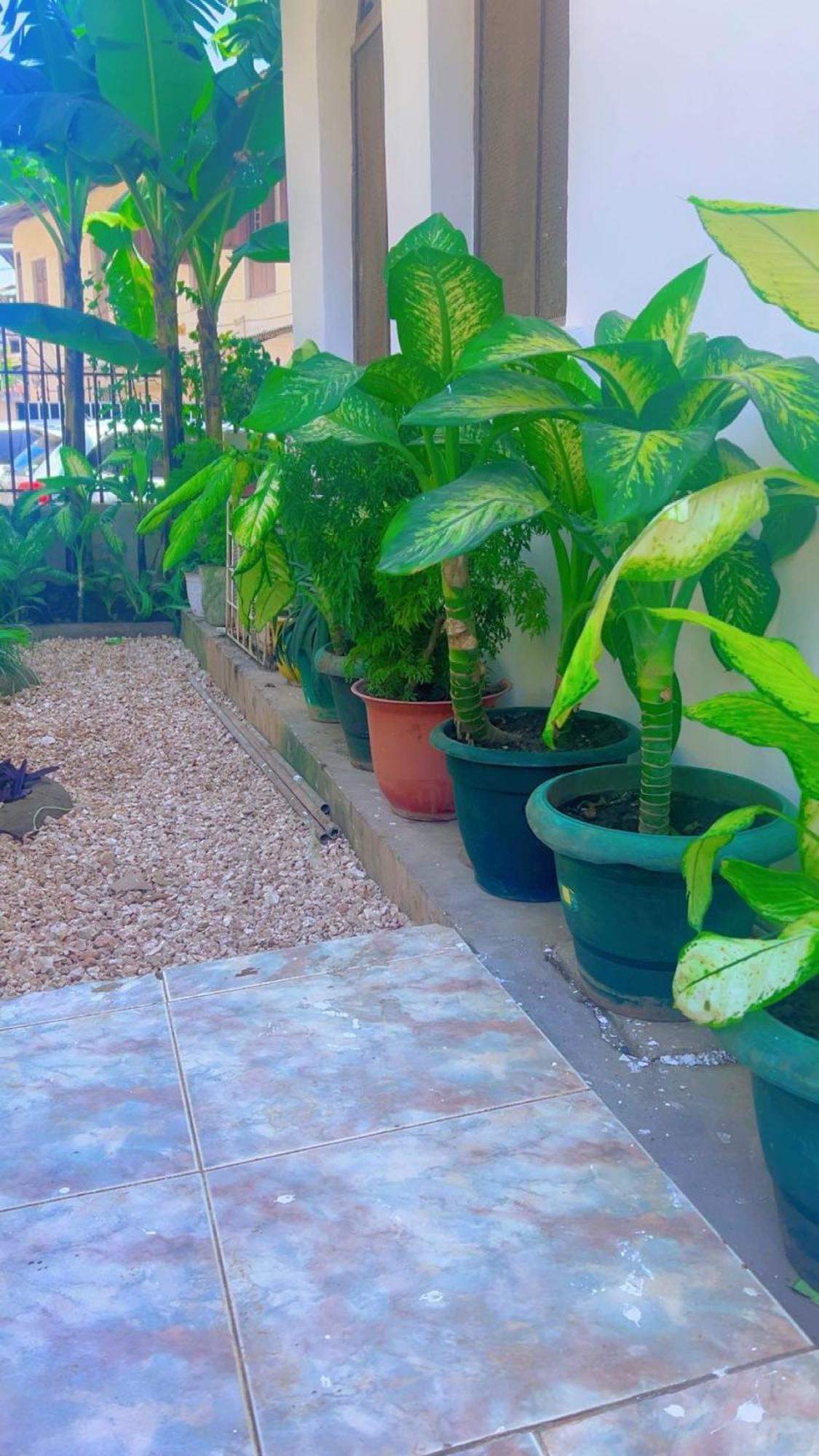 Malkiya House Apartment *