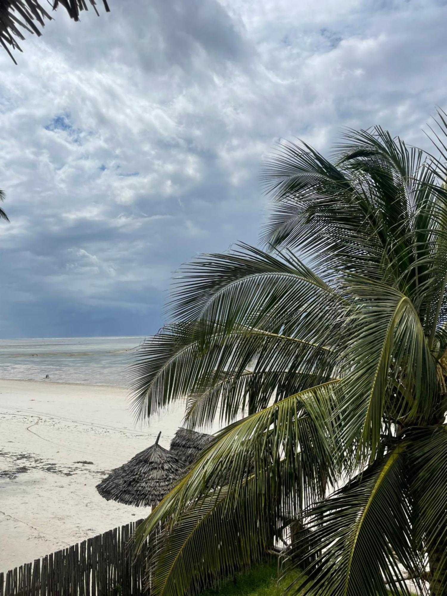 Zanzibar Escape 1&2 Homestay Bwejuu