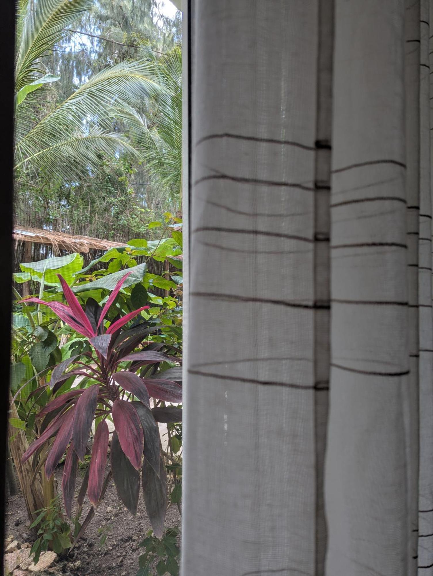 The Moon Living Apartment Paje