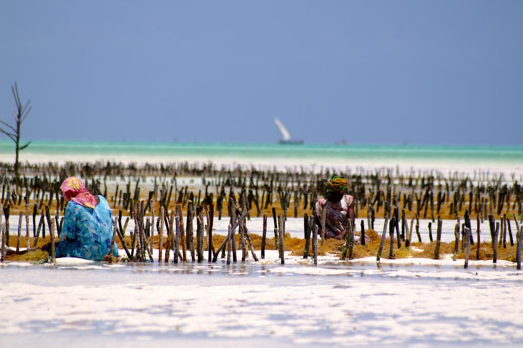 Zanzistar Lodge Guest house Jambiani (Zanzibar)