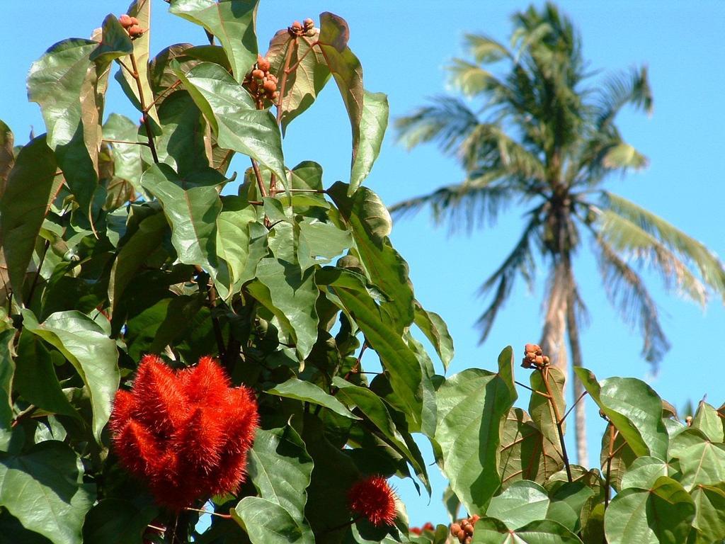 Bed & Breakfast Princess Salme Zanzibar