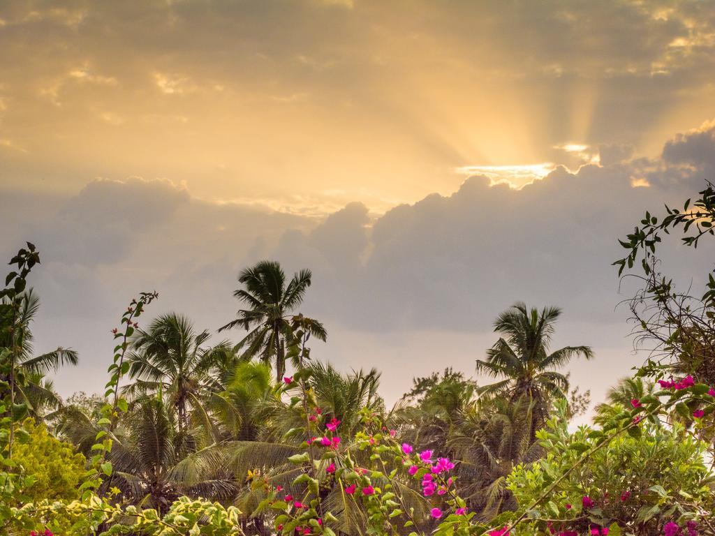 Zan View 3* Kiwengwa (Zanzibar)