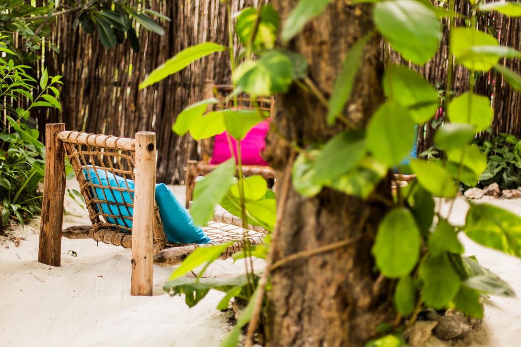 Guest house Zanzistar Lodge