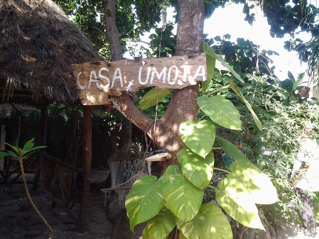 Guest house Casa Umoja