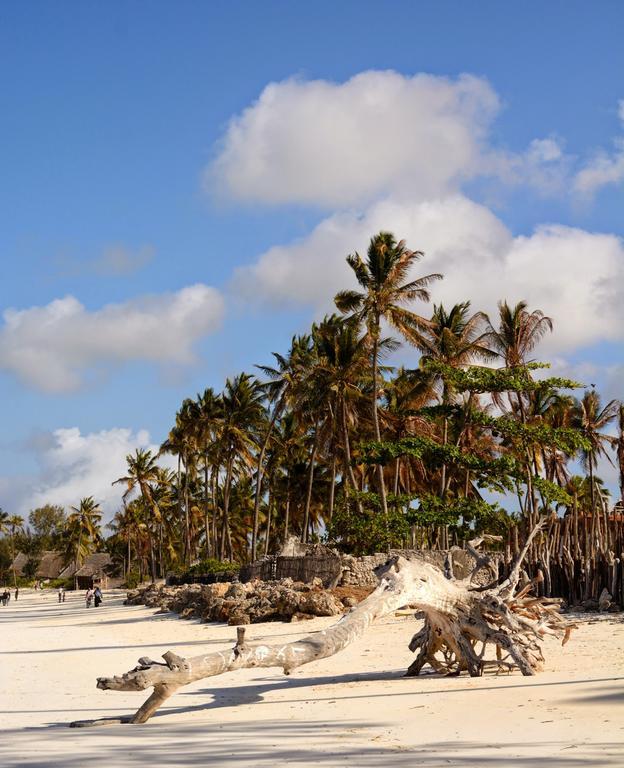 Kipepeo Zanzibar Villa