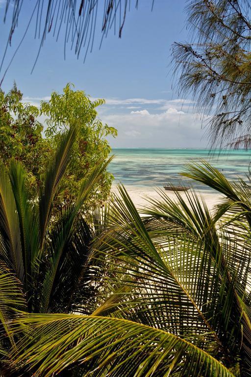 Kipepeo Zanzibar