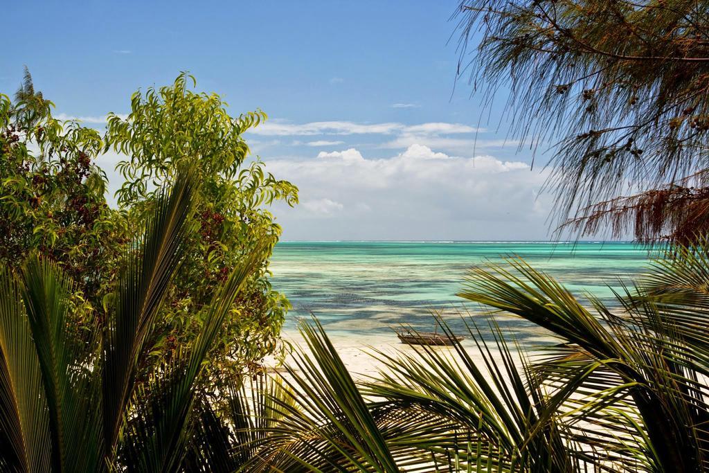Kipepeo Zanzibar Jambiani (Zanzibar)