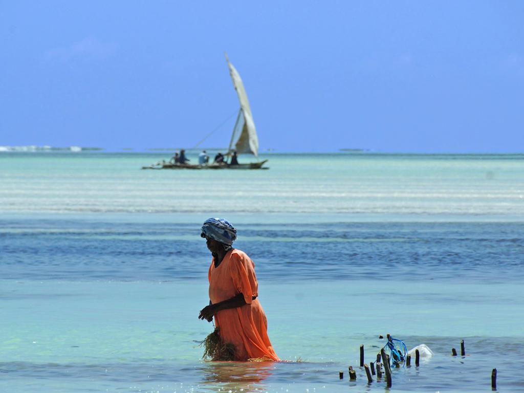 Bay Hotel Pongwe