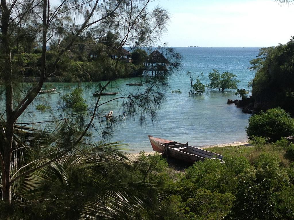Hotel Mangrove 3*