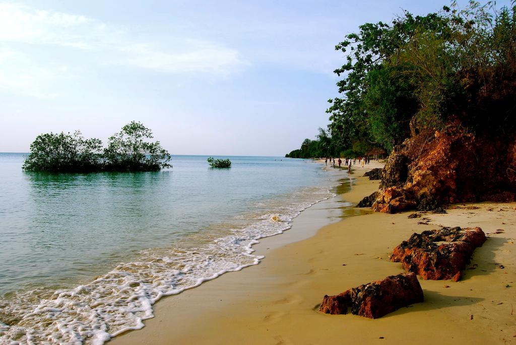 Hotel Mangrove 3*