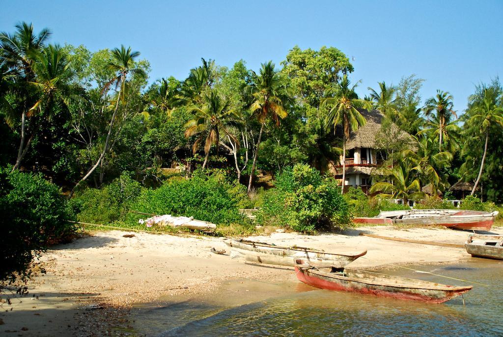 Mangrove