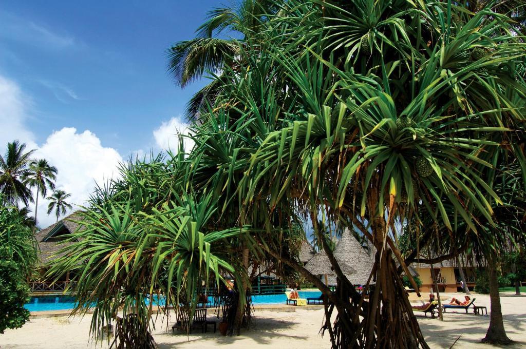 Resort Neptune Pwani & Zanzibar Kiwengwa (Zanzibar)