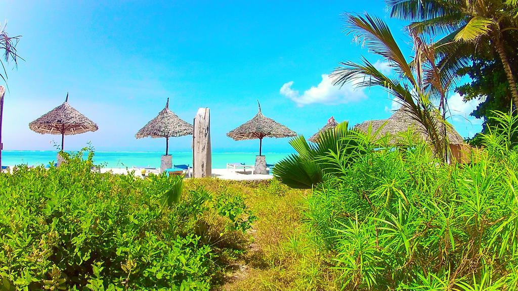 Waikiki Zanzibar Pwani Mchangani