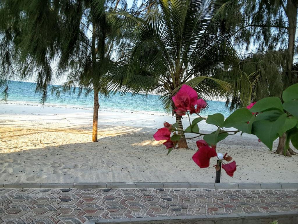 Hotel Mermaids Cove Beach & Spa Uroa