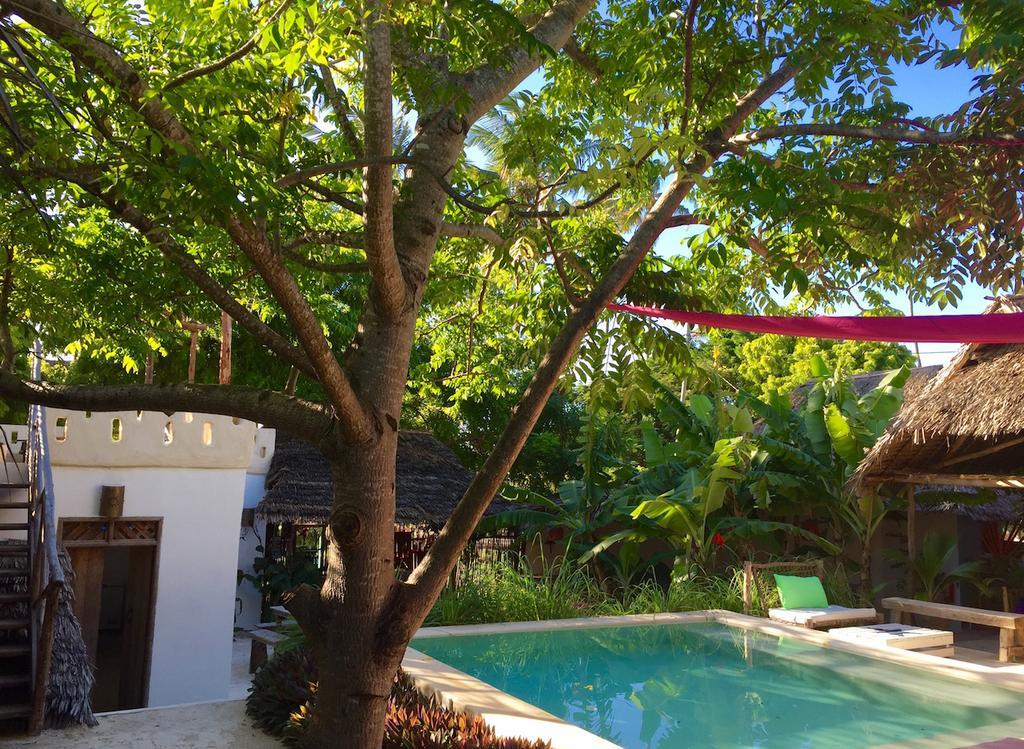 Guest house Zanzistar Lodge 3*