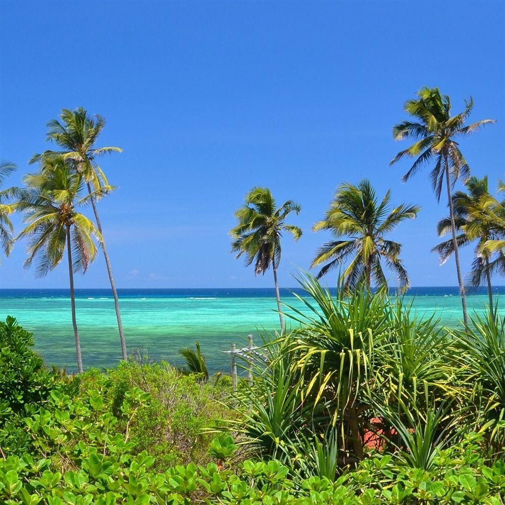 Bellevue Zanzibar Bed & Breakfast