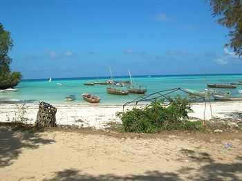 Kizi Dolphin * Kizimkazi