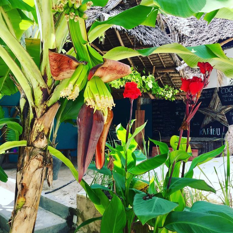 Zanzistar Lodge Jambiani (Zanzibar)