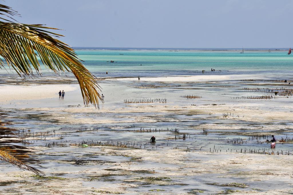 Kimte Jambiani (Zanzibar)