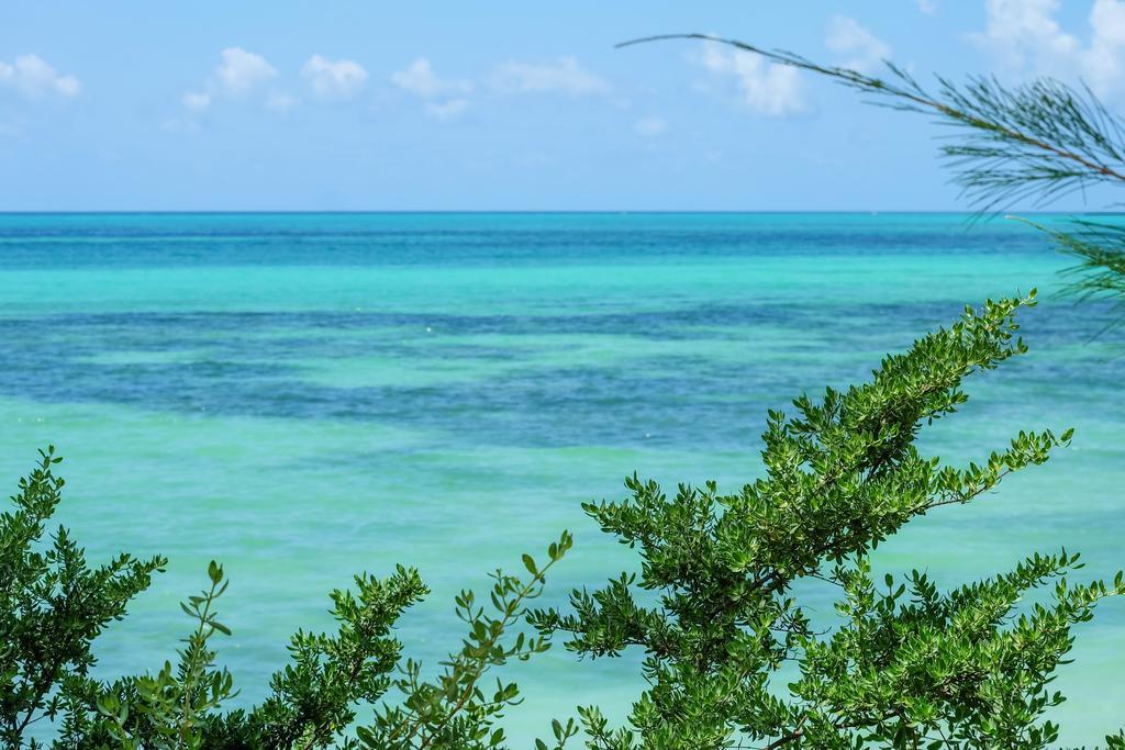 Hotel Seasons Zanzibar
