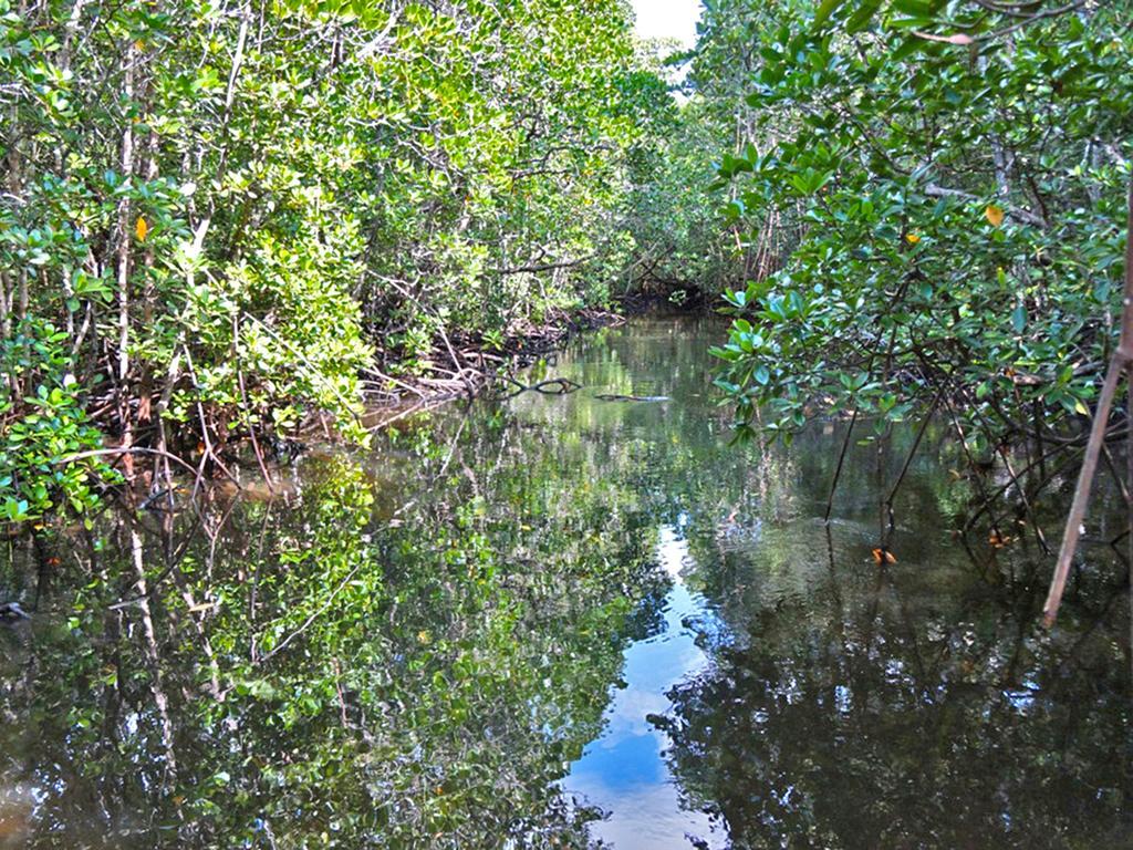 Bay