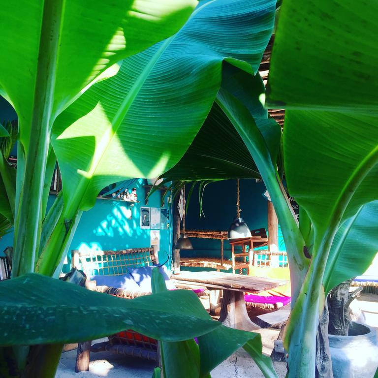 Zanzistar Lodge Guest house Jambiani (Zanzibar)