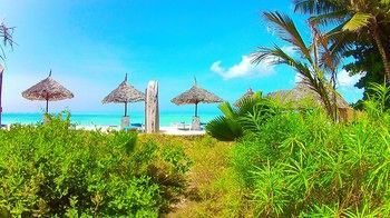 Waikiki Hotel 3*