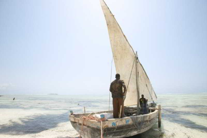 Matemwe * Matemwe (Zanzibar)