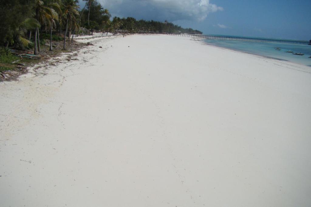 Albatross Ocean View 4* Dongwe