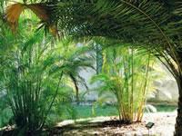 Protea By Marriott Mbweni Ruins Hotel 3*